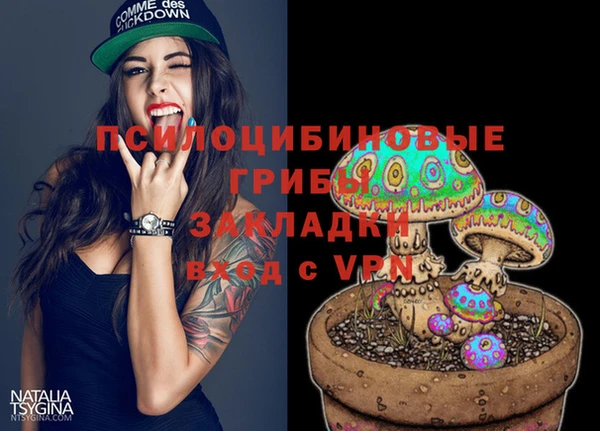 гидра Семилуки