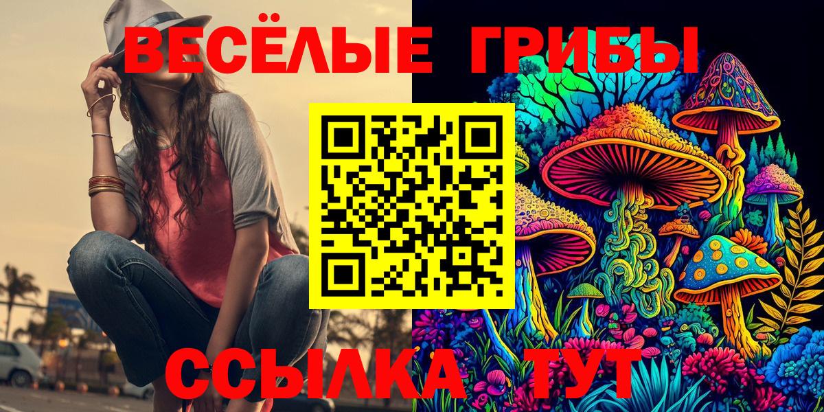 Большой Камень  где найти наркотики  Вход с VPN  Псилоцибиновые грибы Cubensis 