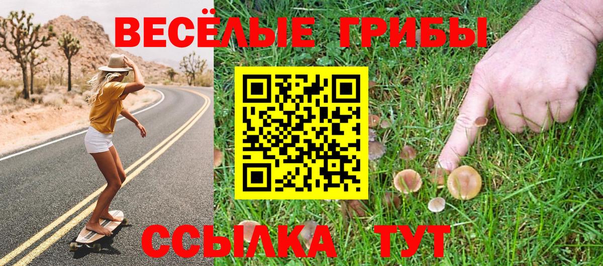 Галлюциногенные грибы Psilocybine cubensis  Большой Камень  Галлюциногенные грибы GOLDEN TEACHER 