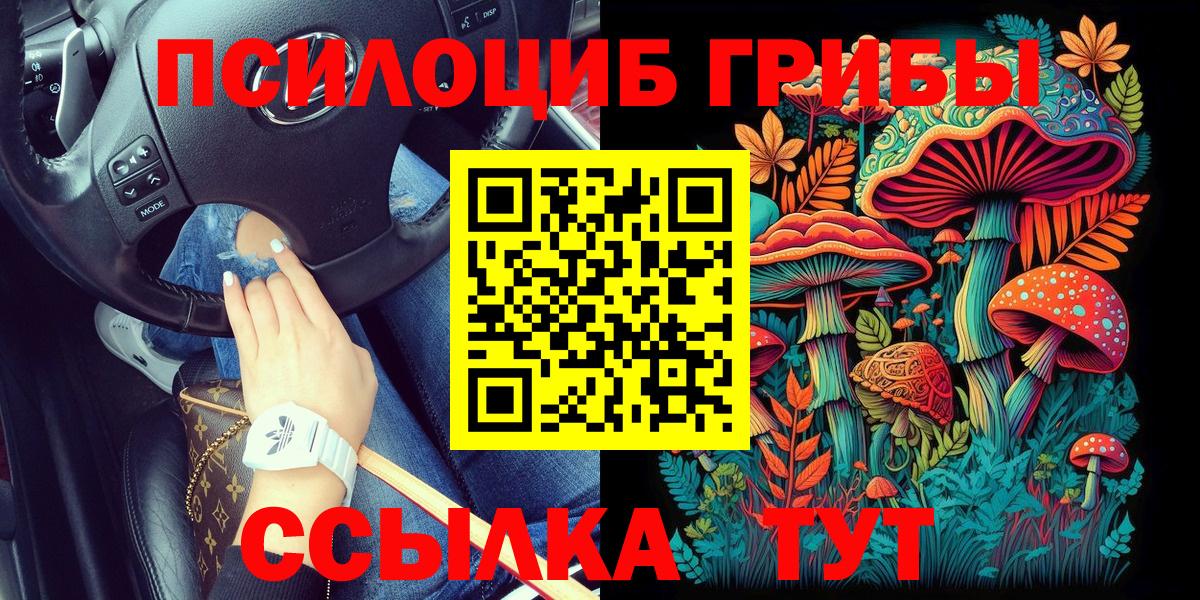 Галлюциногенные грибы Cubensis Большой Камень