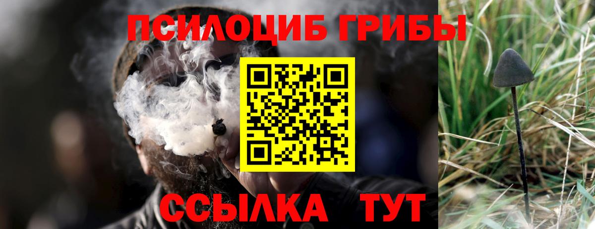 Галлюциногенные грибы GOLDEN TEACHER Большой Камень